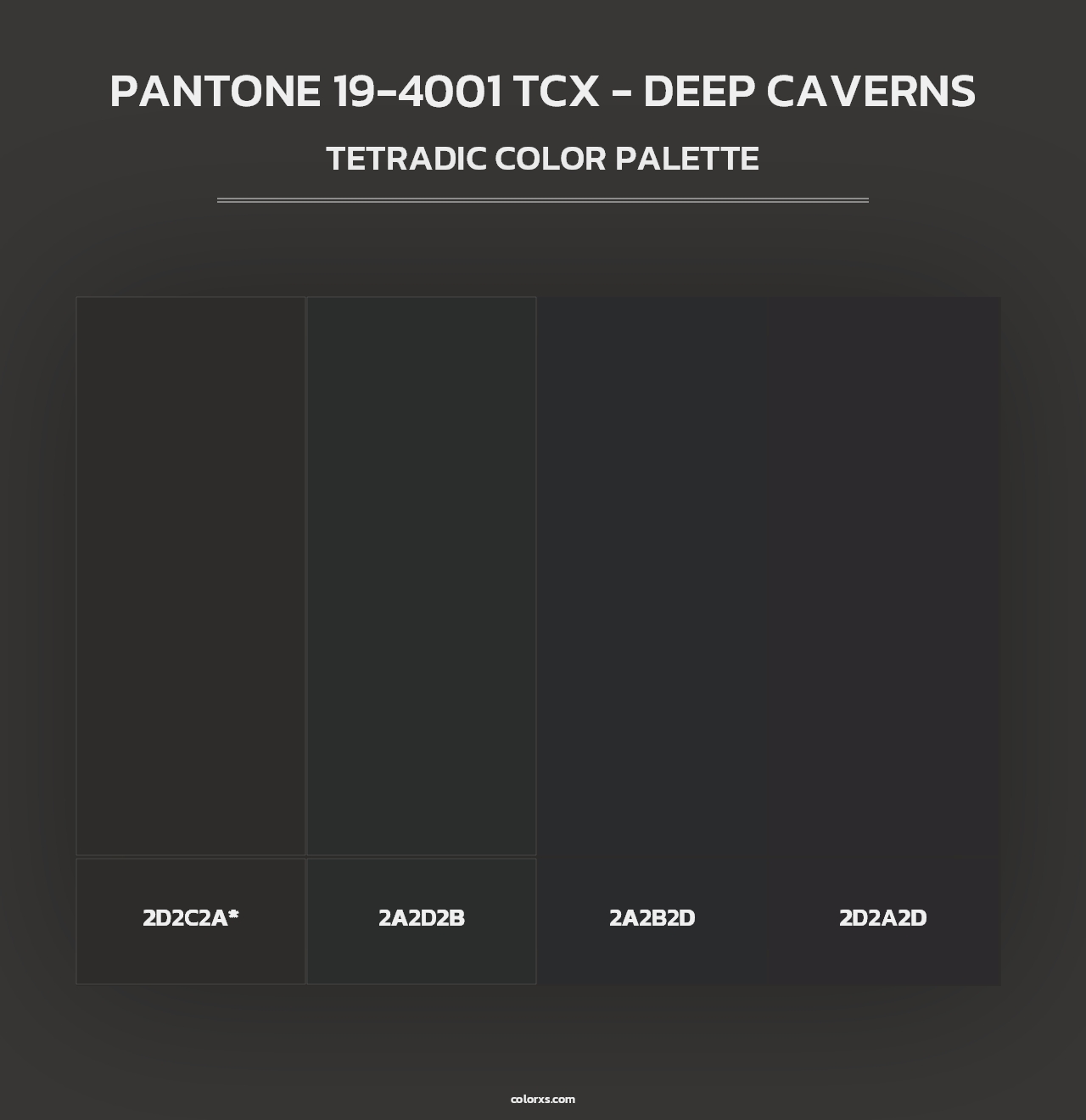 PANTONE 19-4001 TCX - Deep Caverns - Tetradic Color Palette