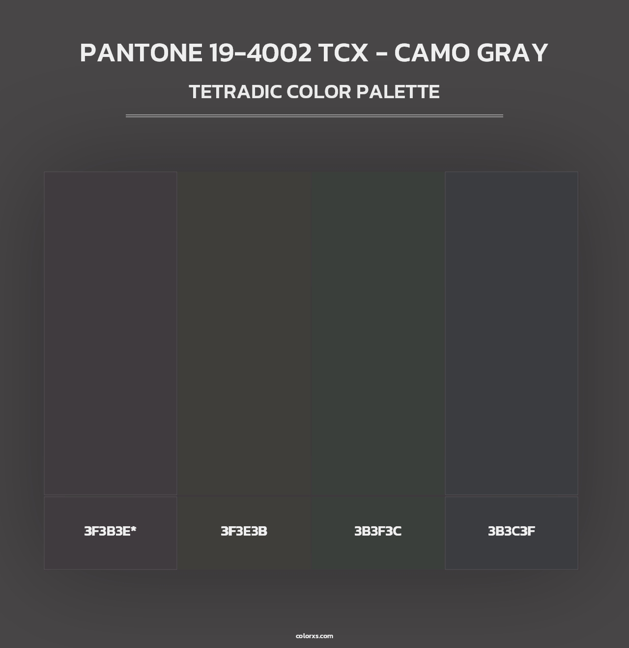 PANTONE 19-4002 TCX - Camo Gray - Tetradic Color Palette