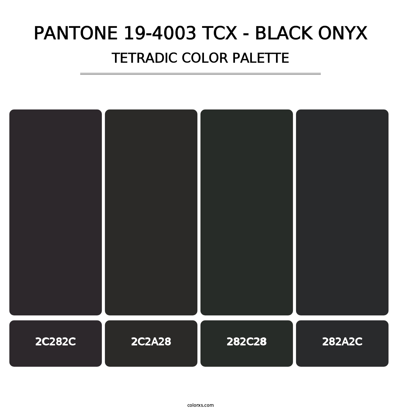 PANTONE 19-4003 TCX - Black Onyx - Tetradic Color Palette