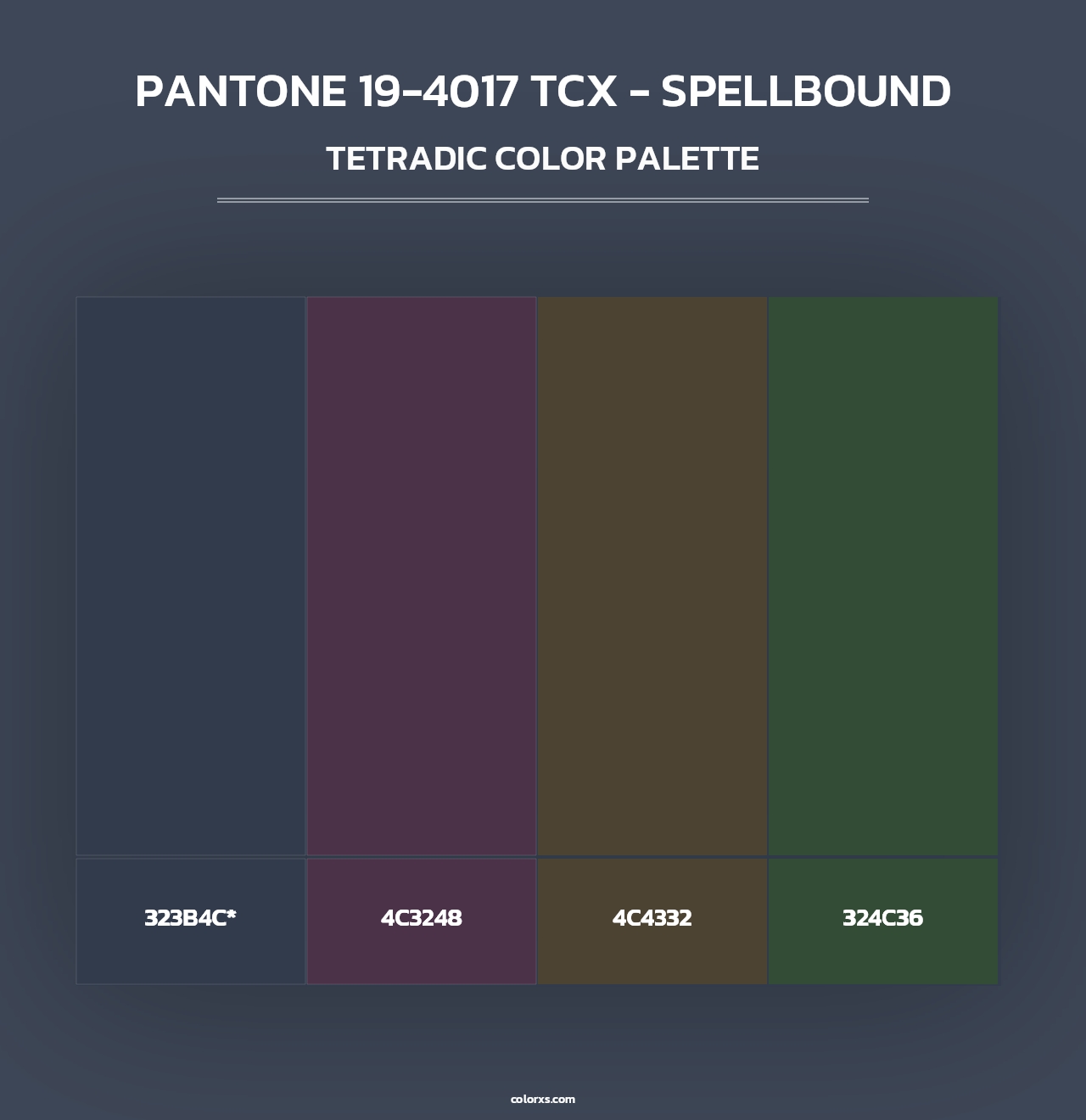 PANTONE 19-4017 TCX - Spellbound - Tetradic Color Palette