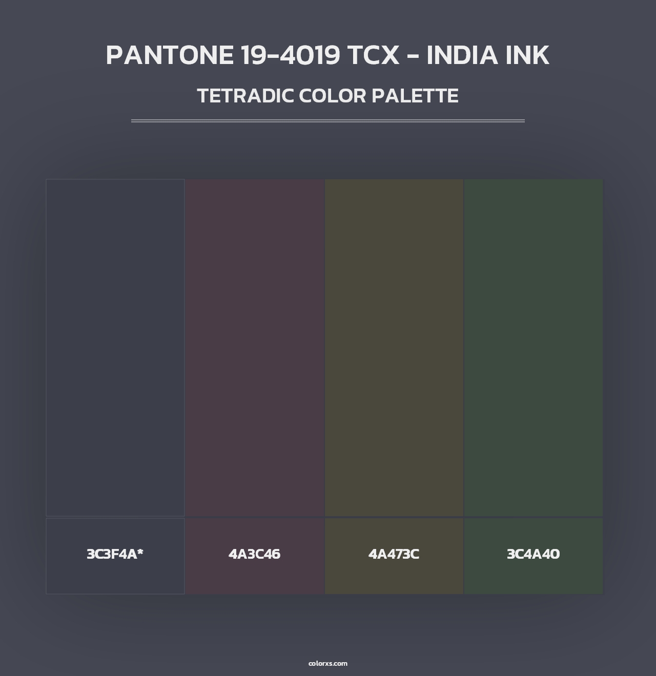 PANTONE 19-4019 TCX - India Ink - Tetradic Color Palette