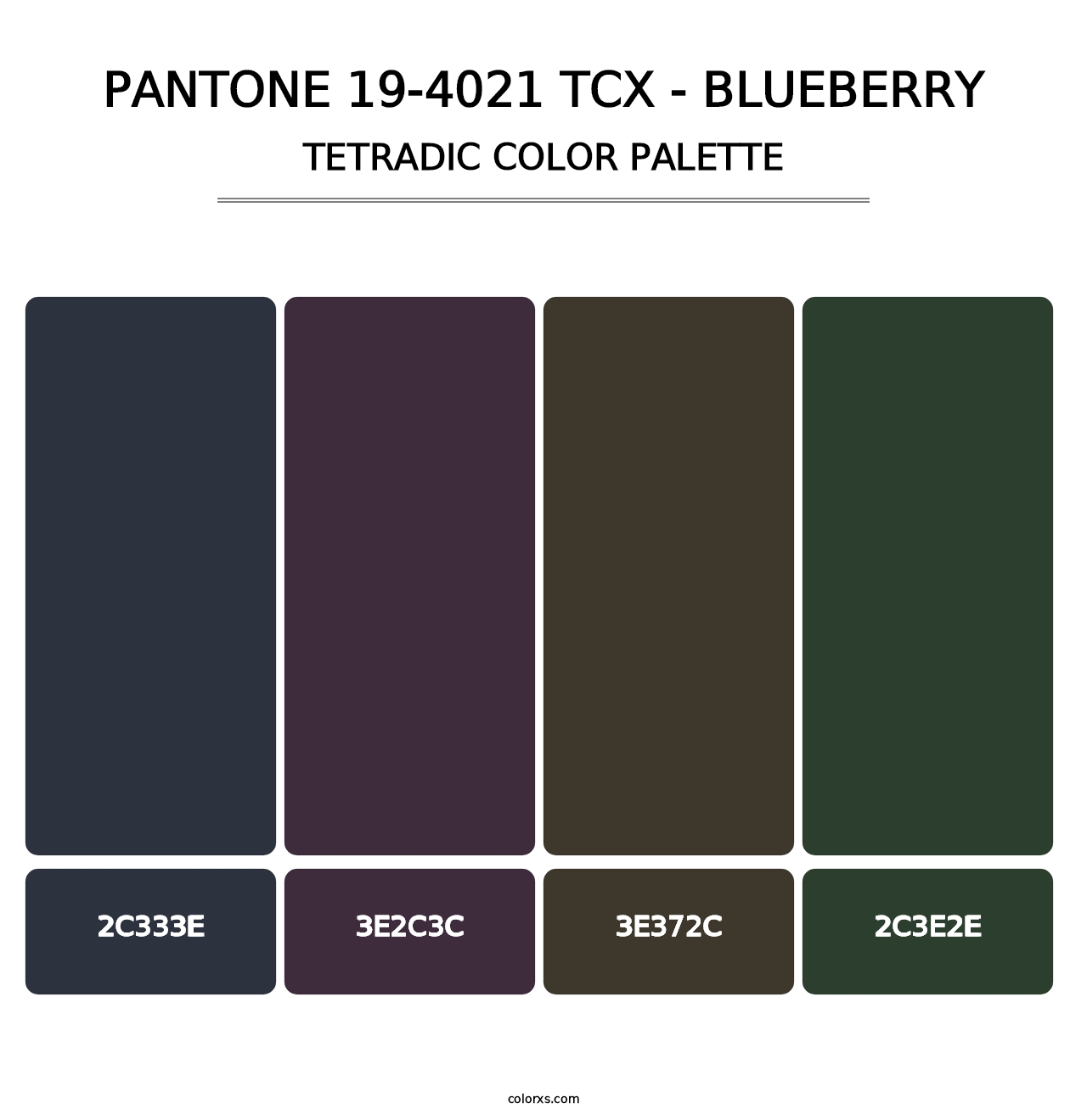 PANTONE 19-4021 TCX - Blueberry - Tetradic Color Palette