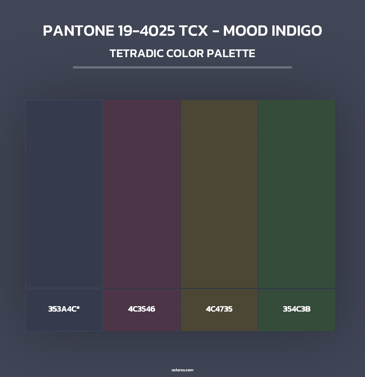 PANTONE 19-4025 TCX - Mood Indigo - Tetradic Color Palette