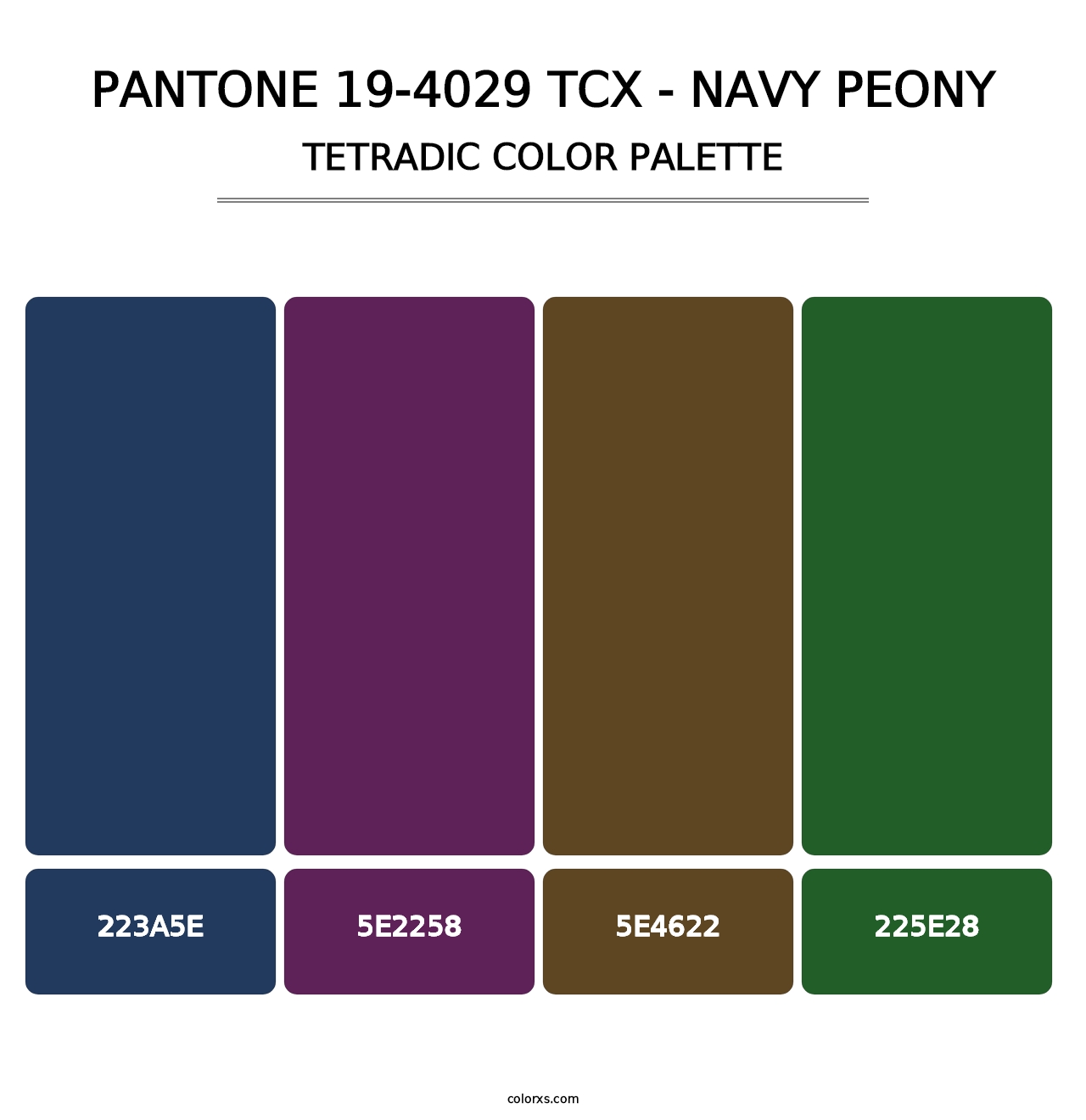 PANTONE 19-4029 TCX - Navy Peony - Tetradic Color Palette