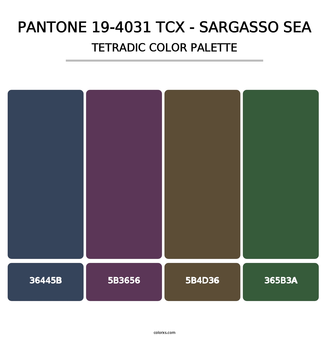 PANTONE 19-4031 TCX - Sargasso Sea - Tetradic Color Palette