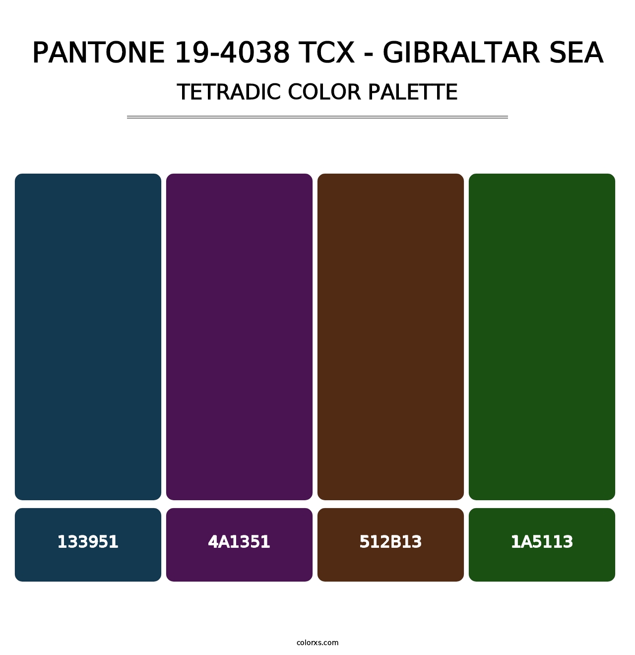 PANTONE 19-4038 TCX - Gibraltar Sea - Tetradic Color Palette