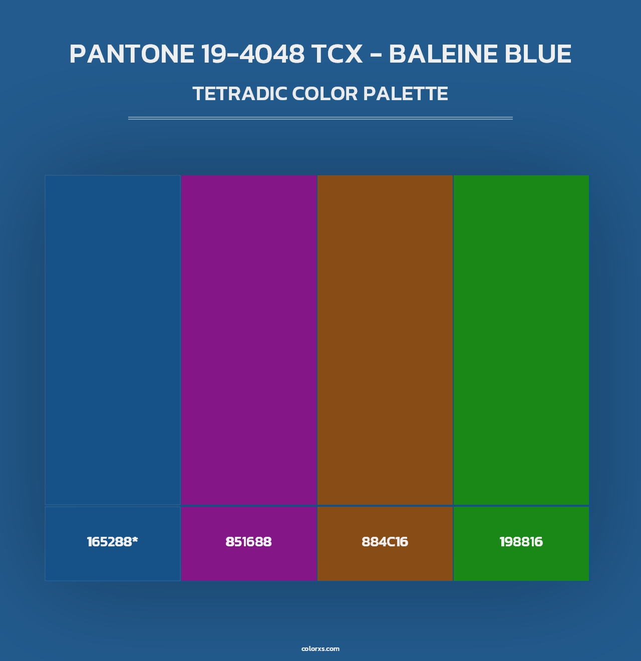 PANTONE 19-4048 TCX - Baleine Blue - Tetradic Color Palette