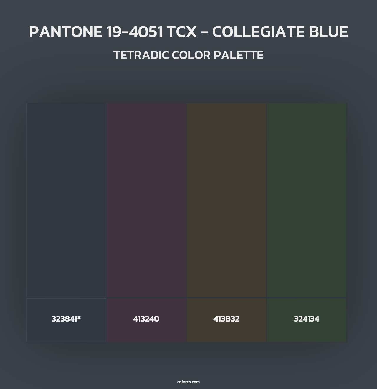 PANTONE 19-4051 TCX - Collegiate Blue - Tetradic Color Palette