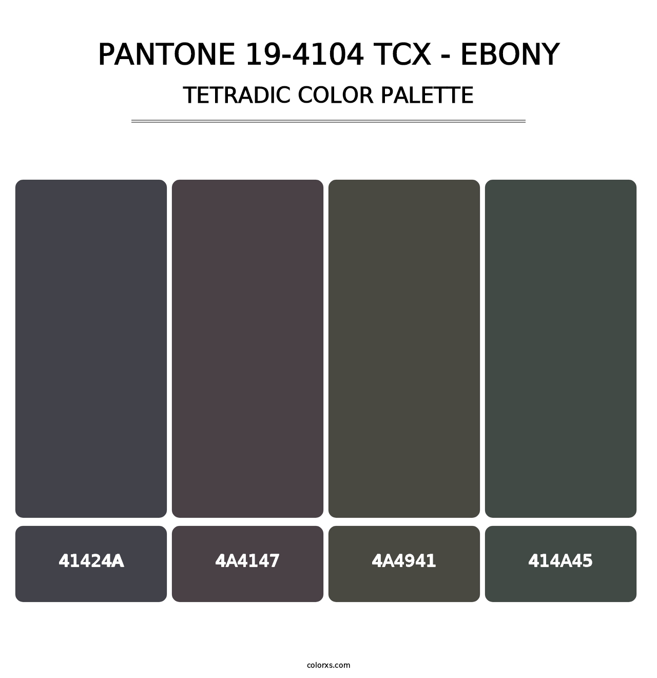PANTONE 19-4104 TCX - Ebony - Tetradic Color Palette