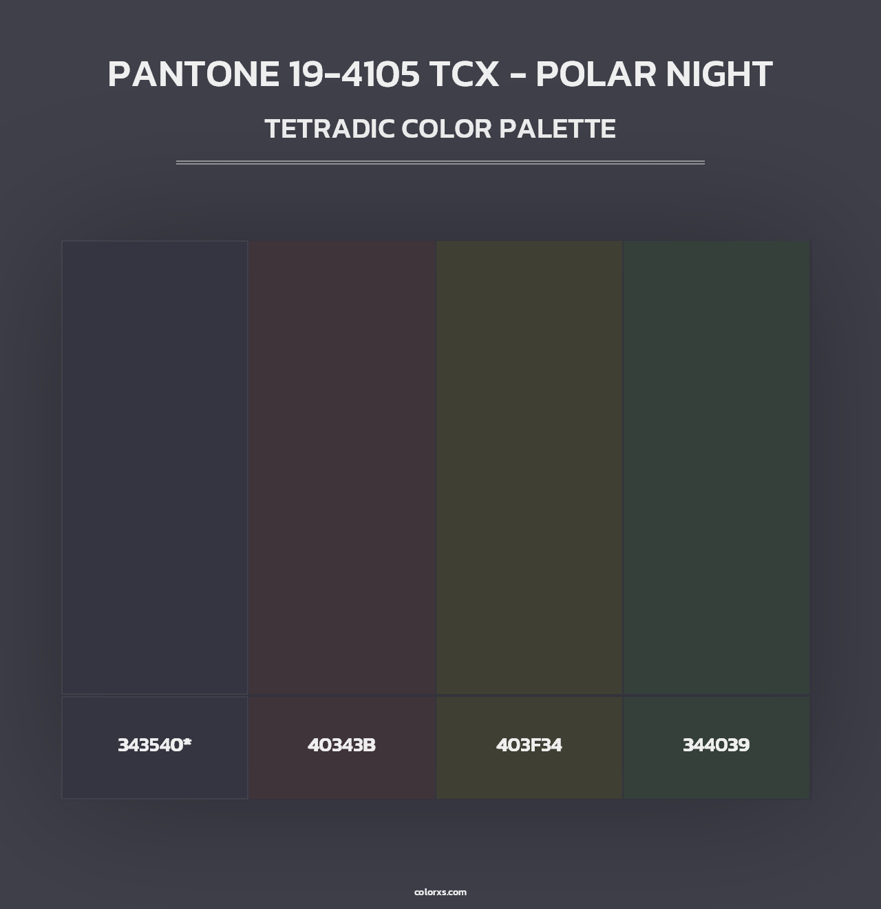 PANTONE 19-4105 TCX - Polar Night - Tetradic Color Palette