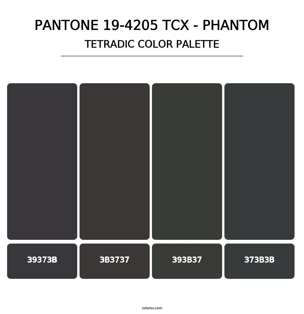 PANTONE 19-4205 TCX - Phantom - Tetradic Color Palette
