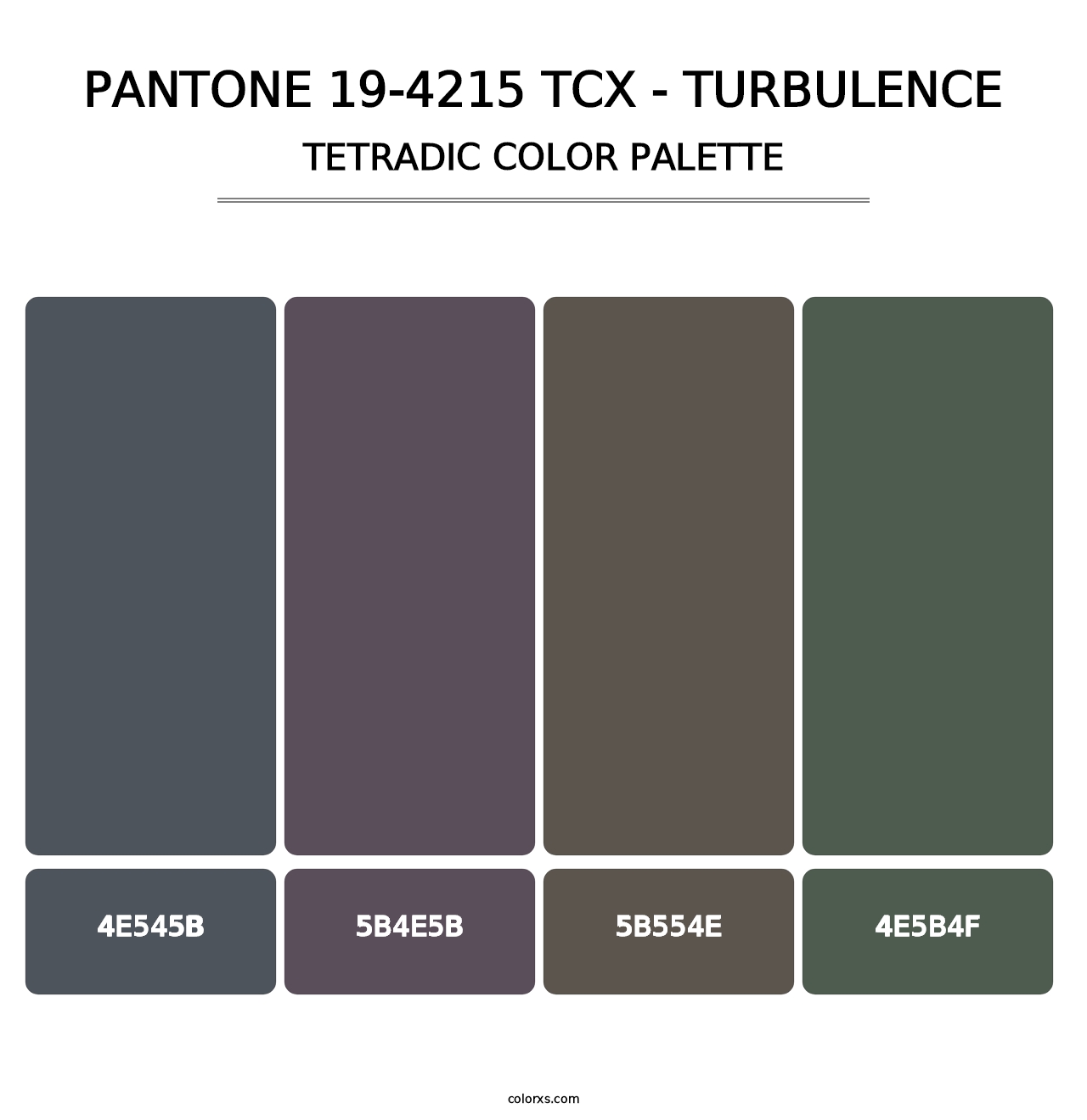 PANTONE 19-4215 TCX - Turbulence - Tetradic Color Palette