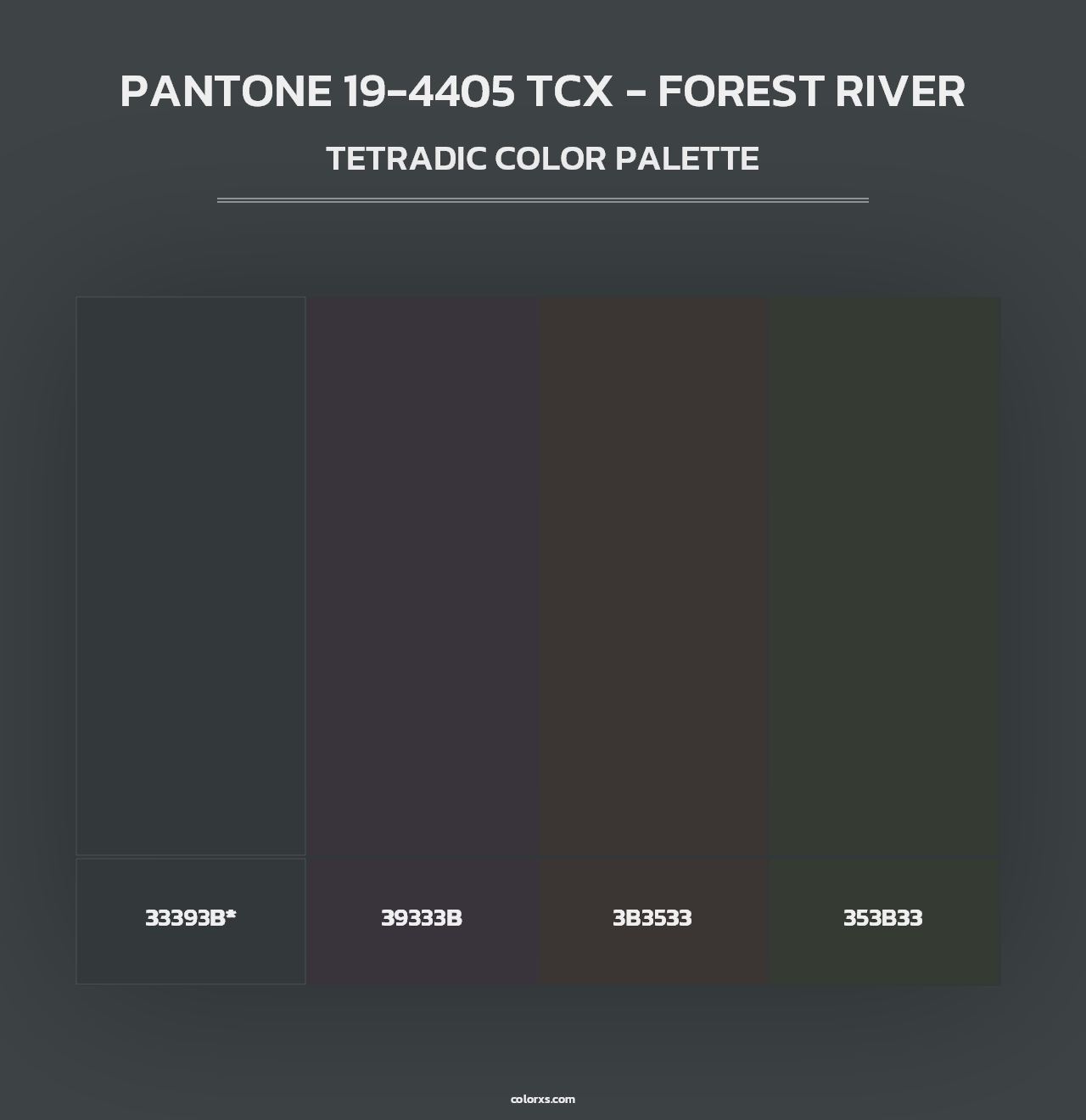 PANTONE 19-4405 TCX - Forest River - Tetradic Color Palette