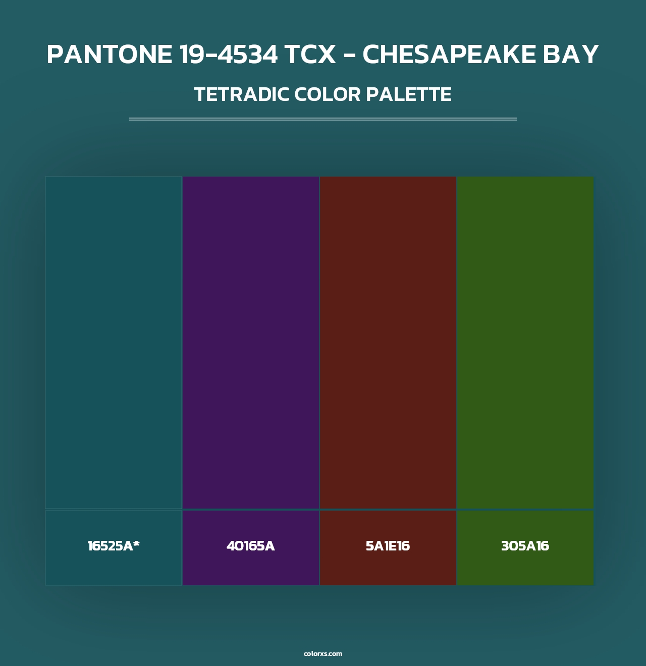 PANTONE 19-4534 TCX - Chesapeake Bay - Tetradic Color Palette