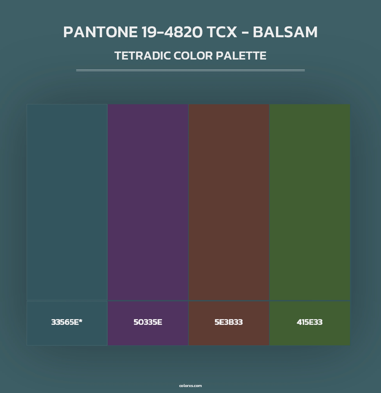 PANTONE 19-4820 TCX - Balsam - Tetradic Color Palette