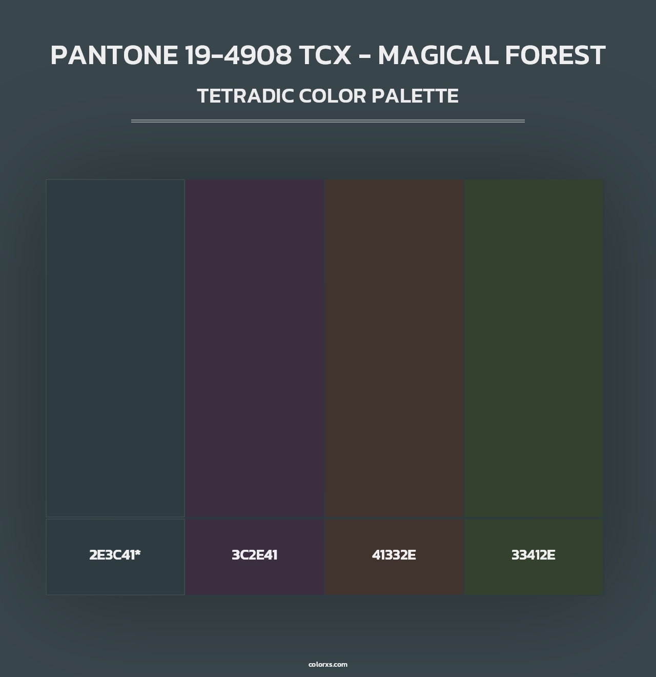 PANTONE 19-4908 TCX - Magical Forest - Tetradic Color Palette