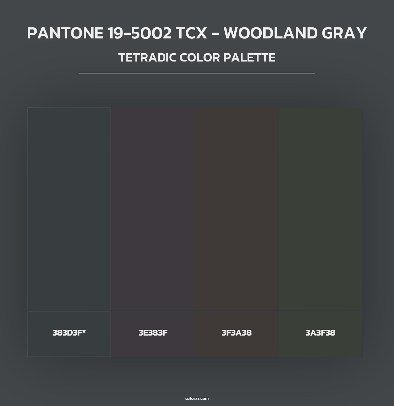 PANTONE 19-5002 TCX - Woodland Gray - Tetradic Color Palette