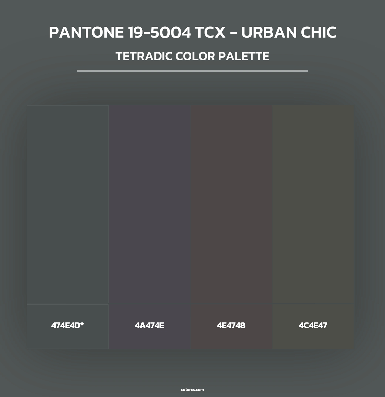 PANTONE 19-5004 TCX - Urban Chic - Tetradic Color Palette