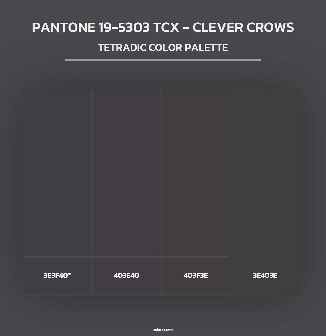 PANTONE 19-5303 TCX - Clever Crows - Tetradic Color Palette