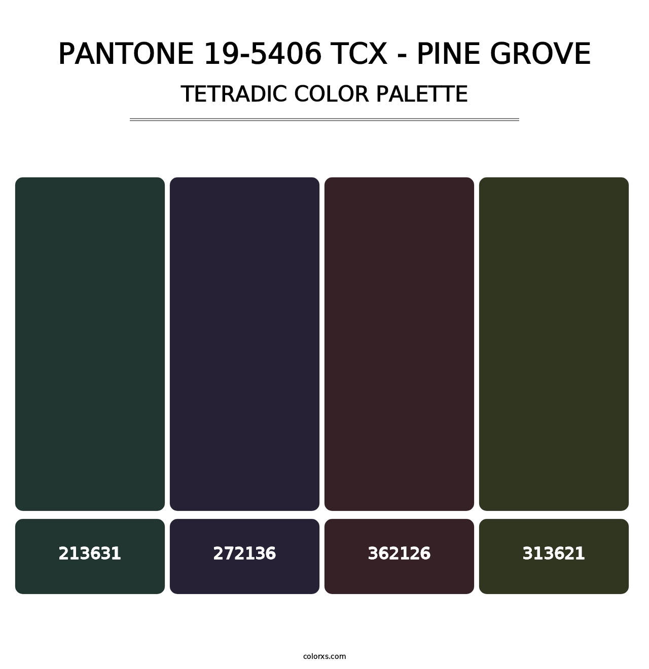 PANTONE 19-5406 TCX - Pine Grove - Tetradic Color Palette