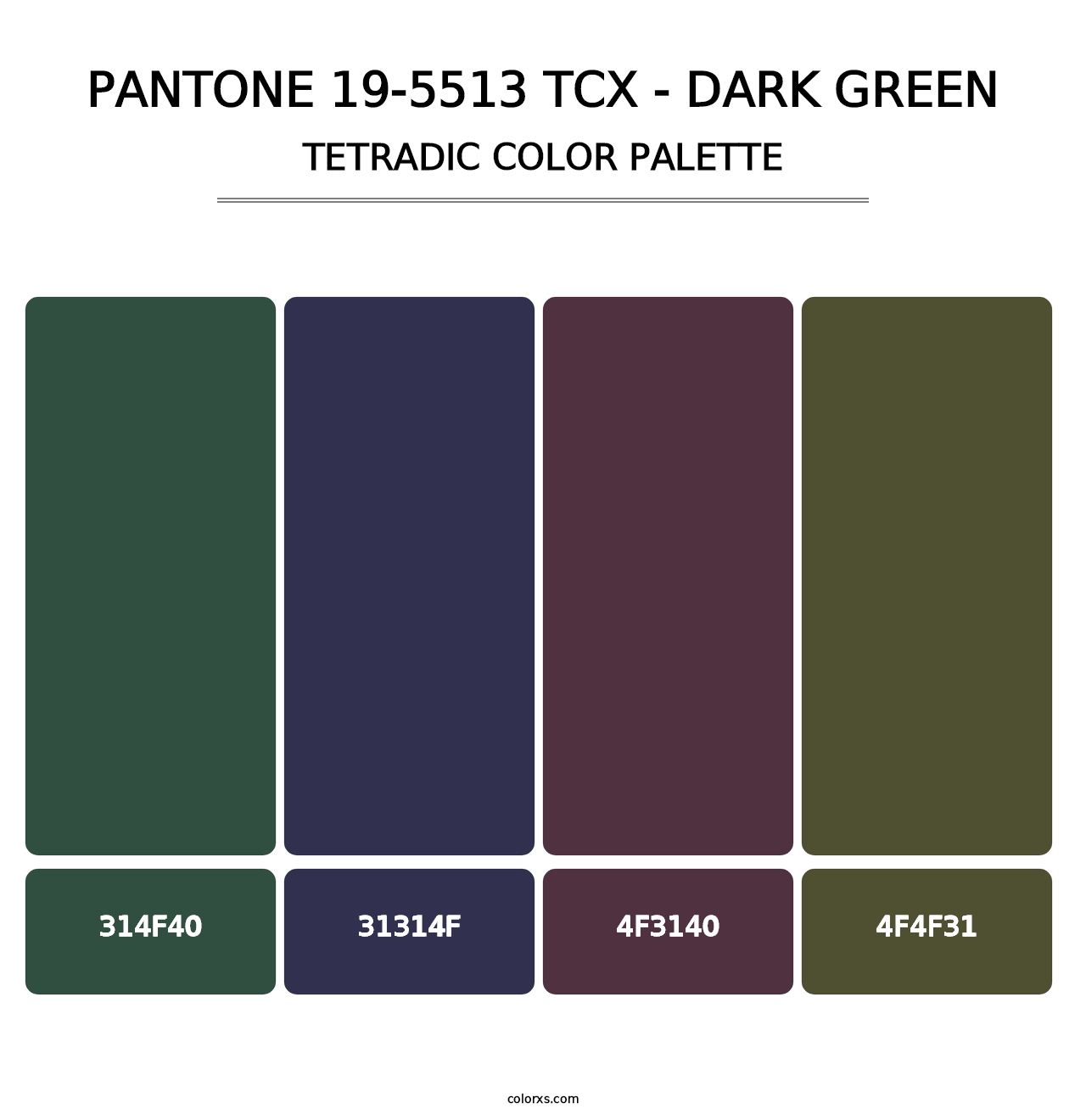 PANTONE 19-5513 TCX - Dark Green - Tetradic Color Palette