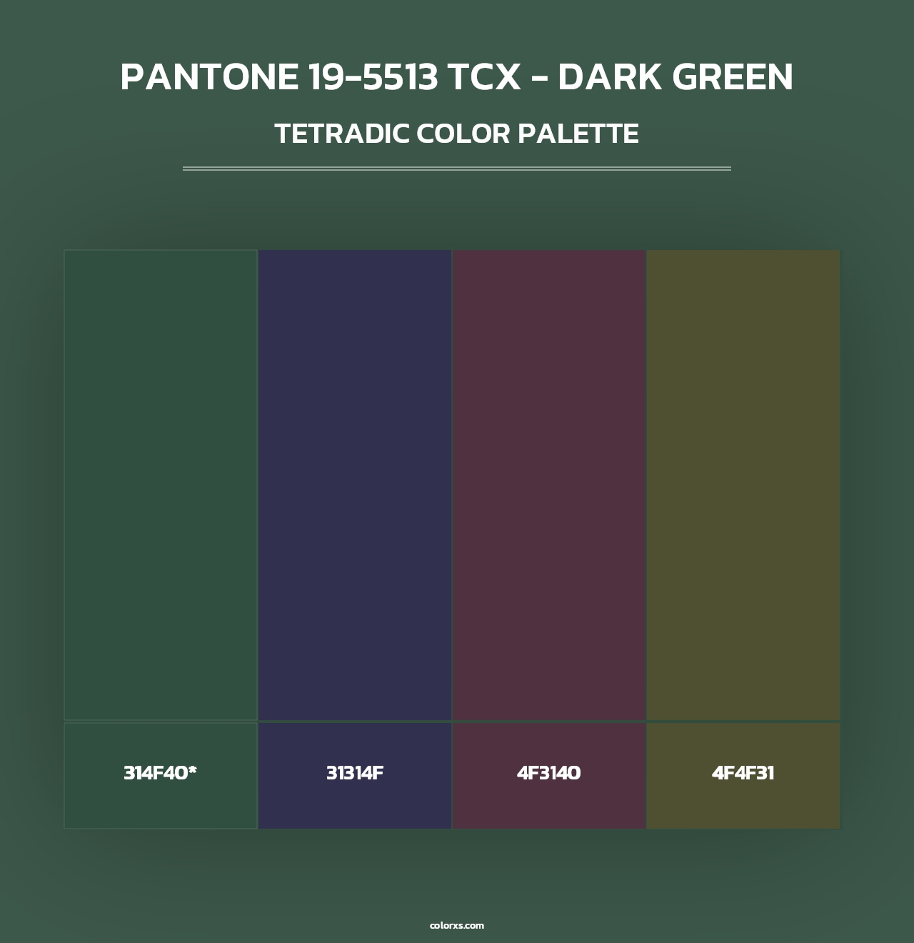 PANTONE 19-5513 TCX - Dark Green - Tetradic Color Palette