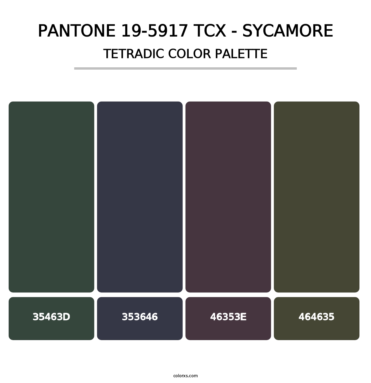 PANTONE 19-5917 TCX - Sycamore - Tetradic Color Palette