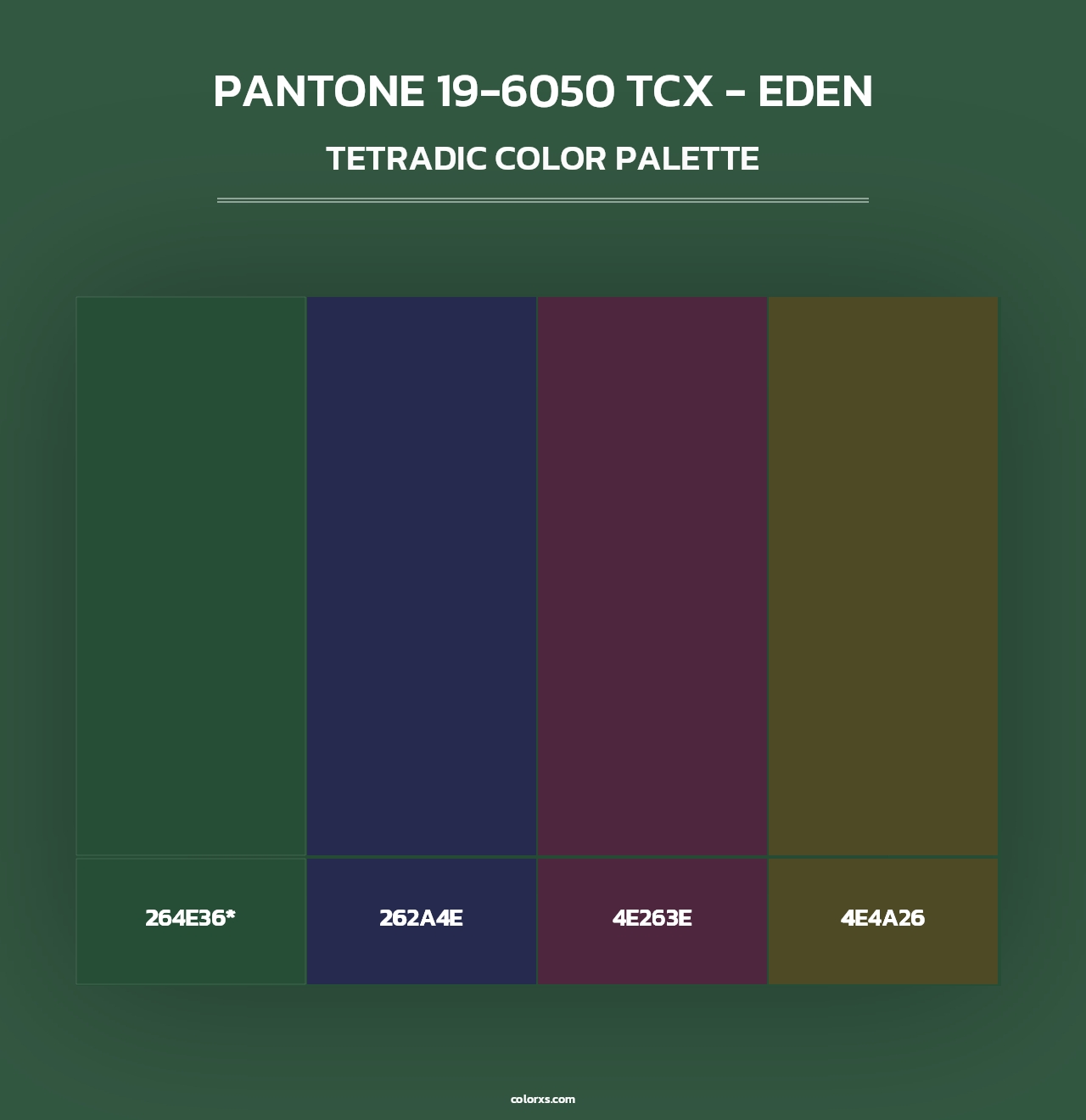 PANTONE 19-6050 TCX - Eden - Tetradic Color Palette