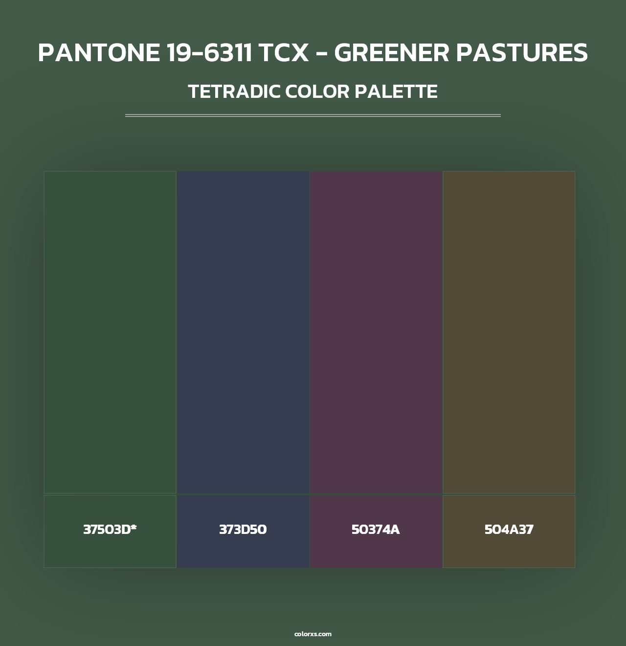 PANTONE 19-6311 TCX - Greener Pastures - Tetradic Color Palette