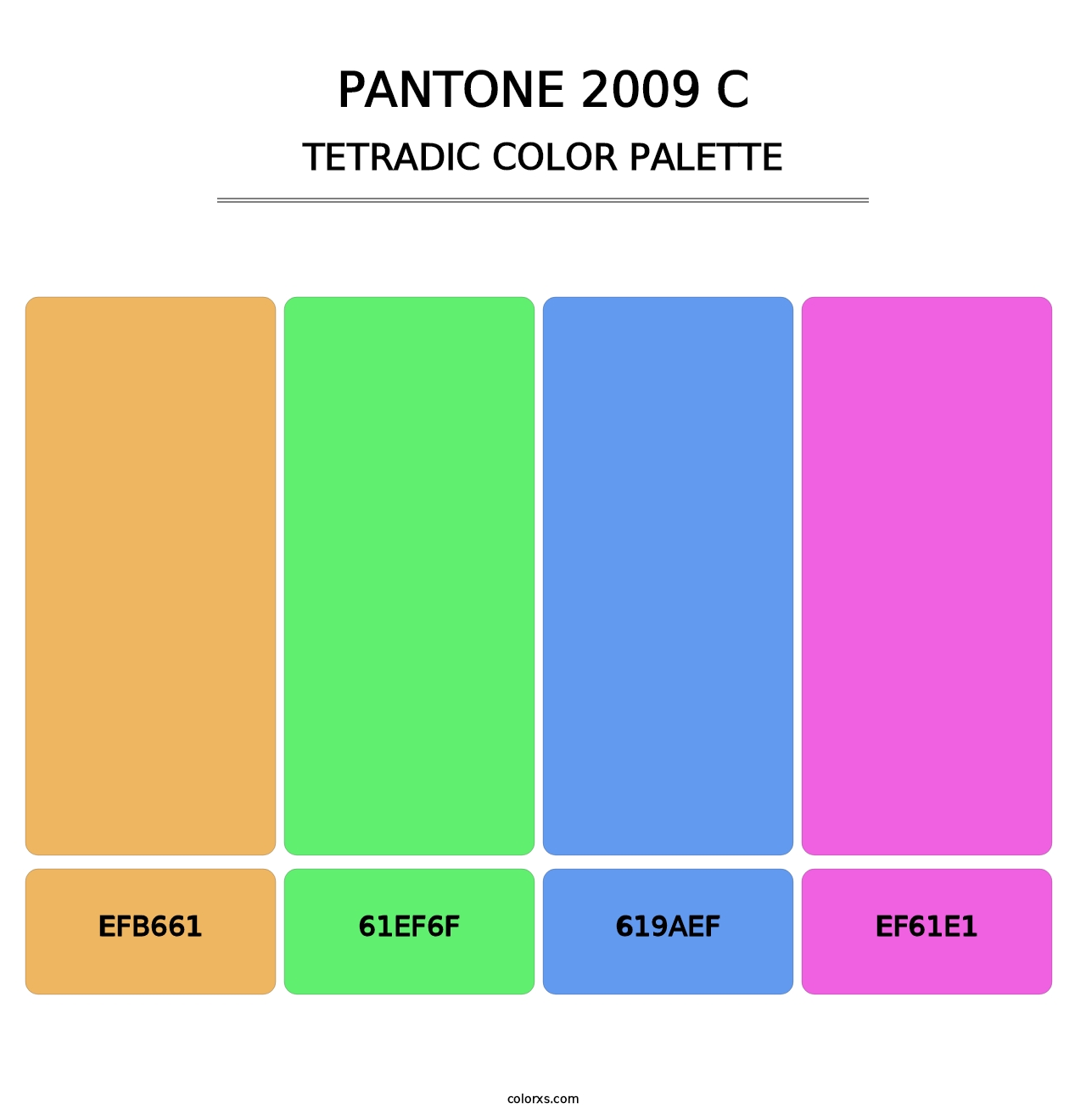 PANTONE 2009 C - Tetradic Color Palette