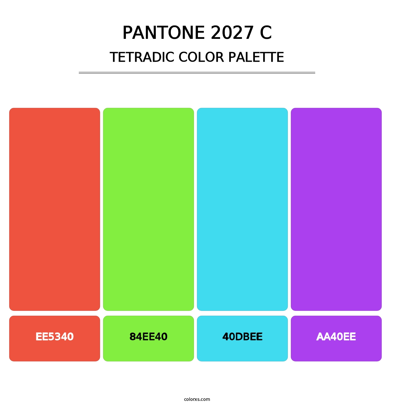PANTONE 2027 C - Tetradic Color Palette