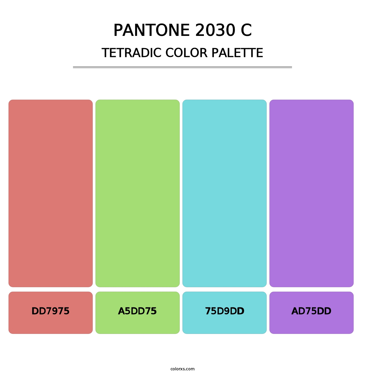 PANTONE 2030 C - Tetradic Color Palette