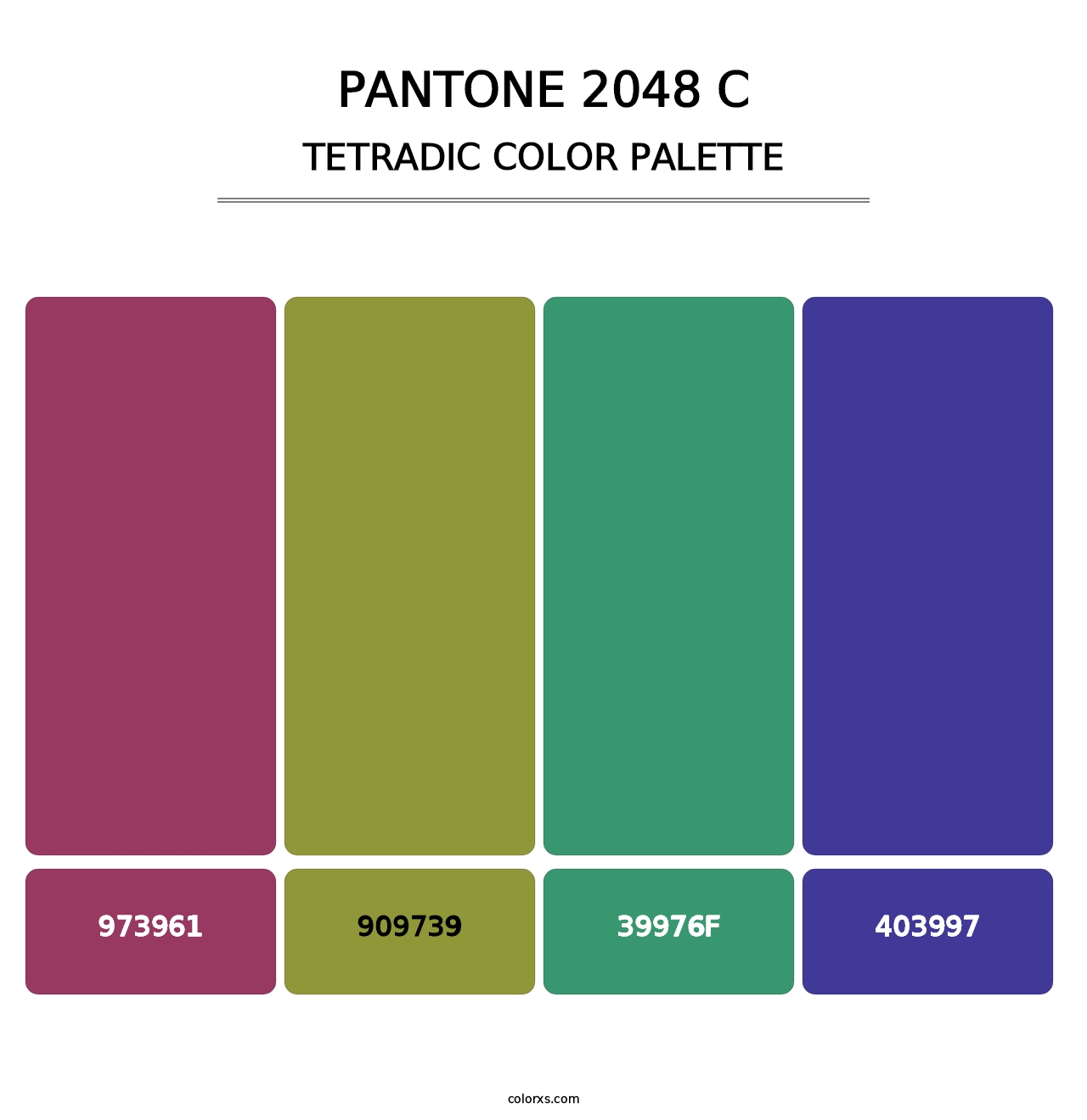 PANTONE 2048 C - Tetradic Color Palette