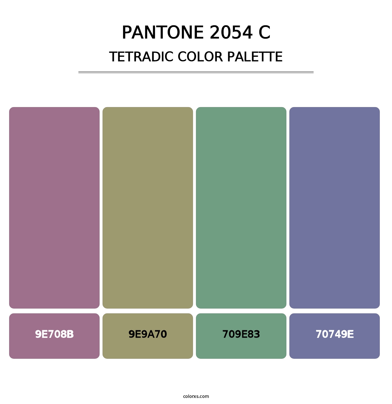 PANTONE 2054 C - Tetradic Color Palette