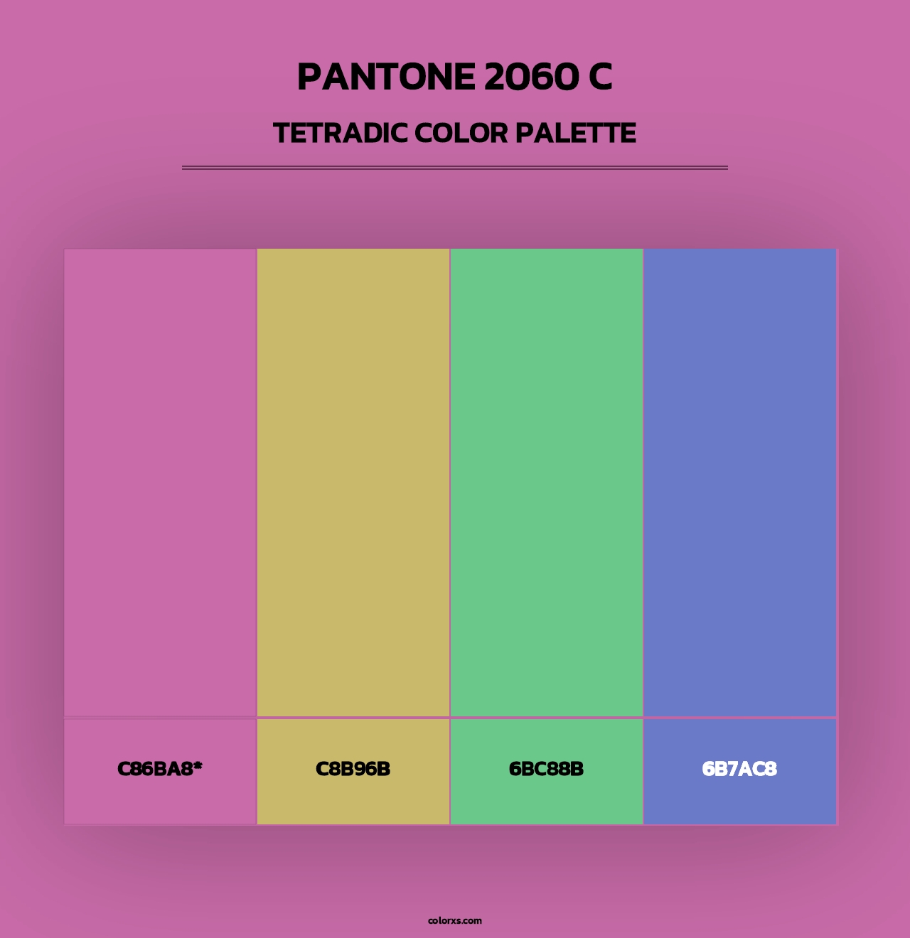 PANTONE 2060 C - Tetradic Color Palette