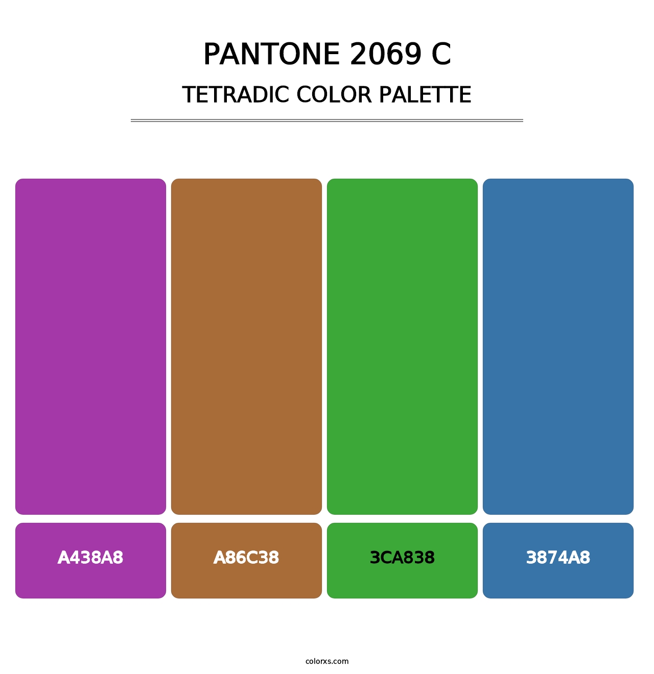 PANTONE 2069 C - Tetradic Color Palette