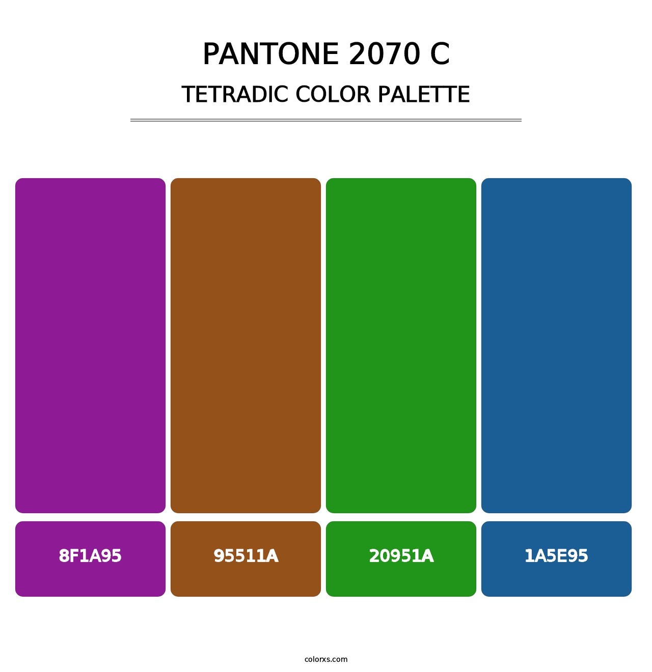 PANTONE 2070 C - Tetradic Color Palette