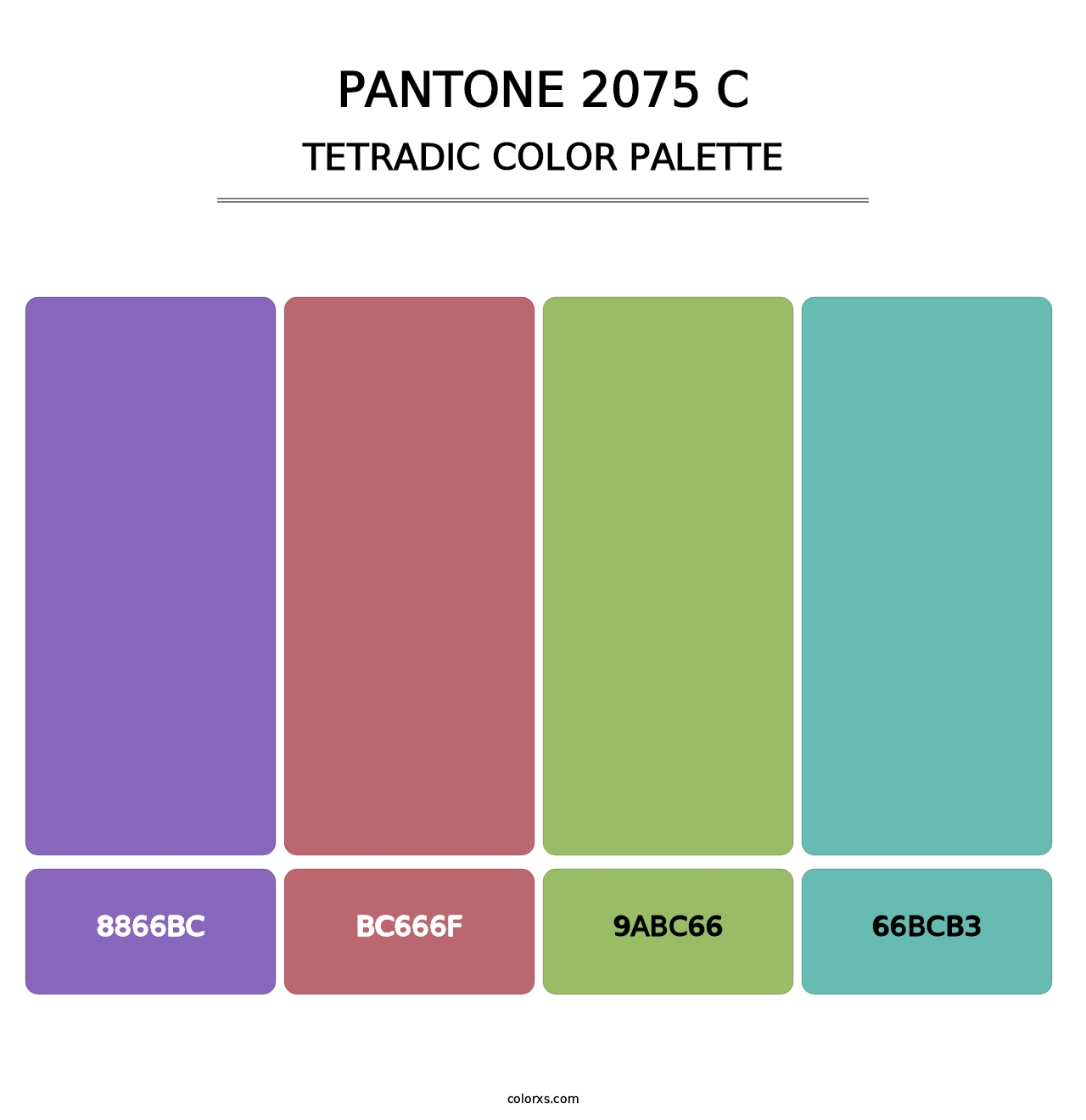 PANTONE 2075 C - Tetradic Color Palette