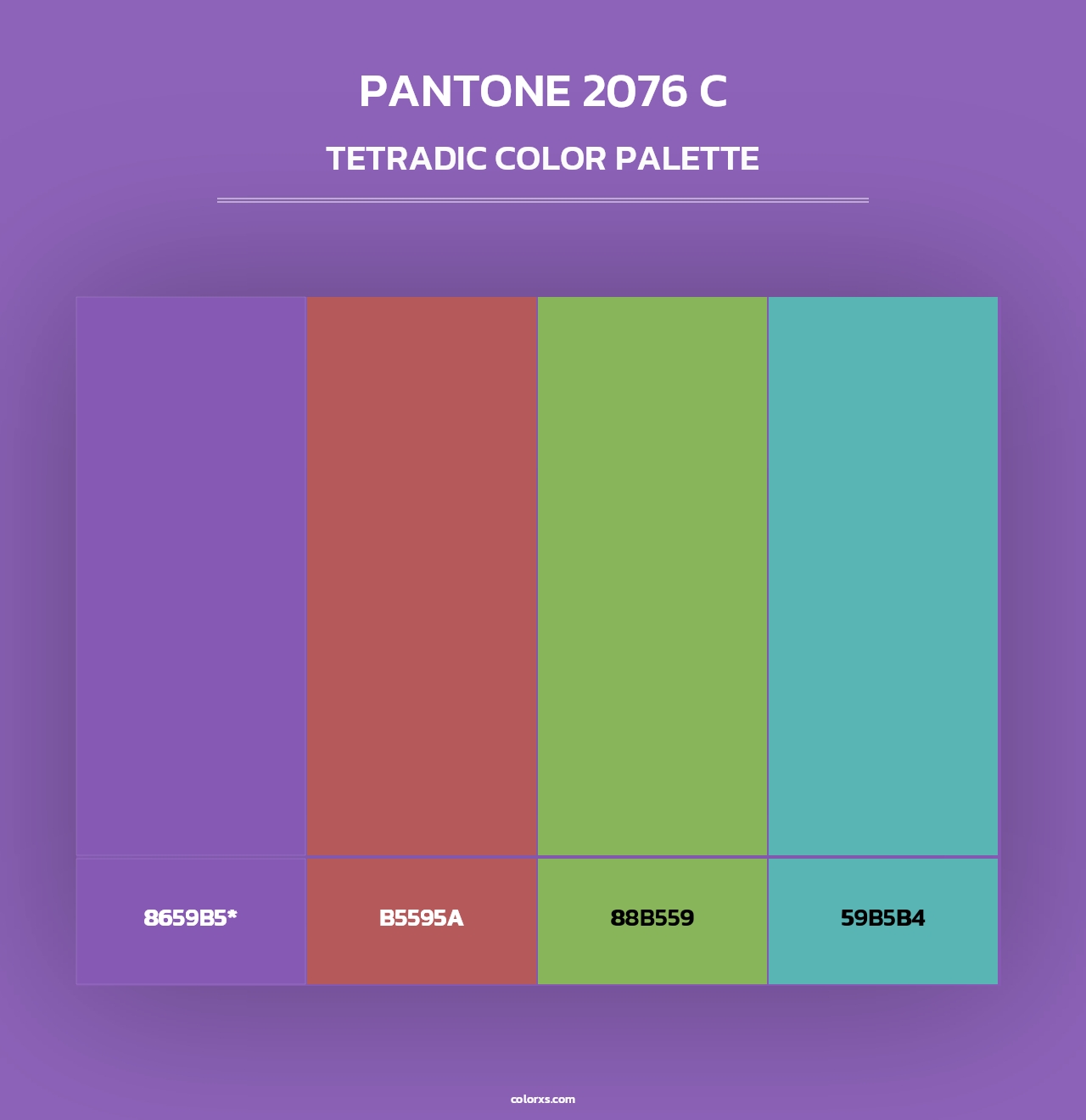 PANTONE 2076 C - Tetradic Color Palette