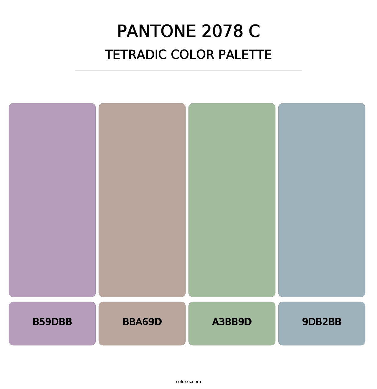 PANTONE 2078 C - Tetradic Color Palette