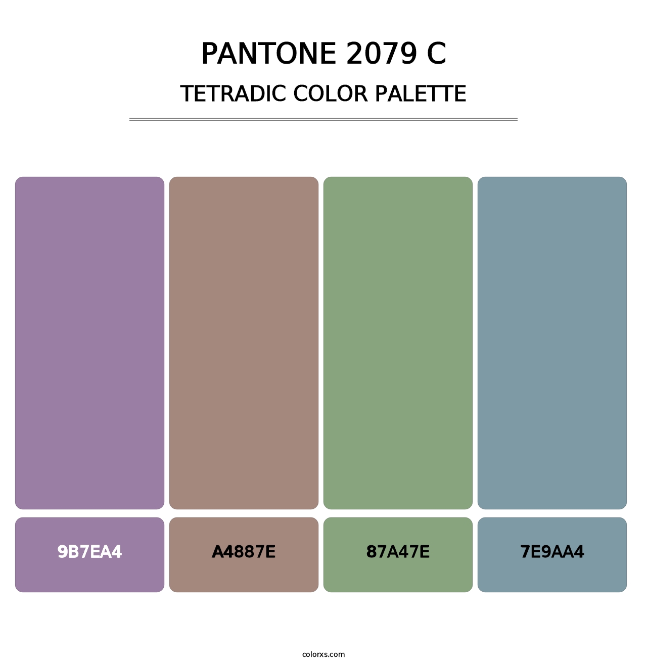 PANTONE 2079 C - Tetradic Color Palette