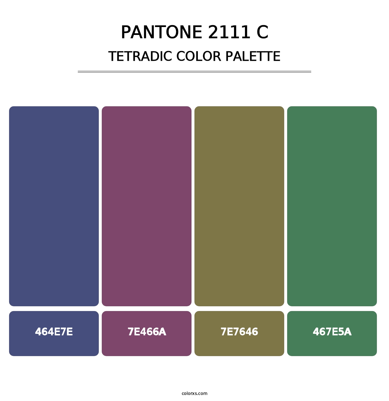 PANTONE 2111 C - Tetradic Color Palette
