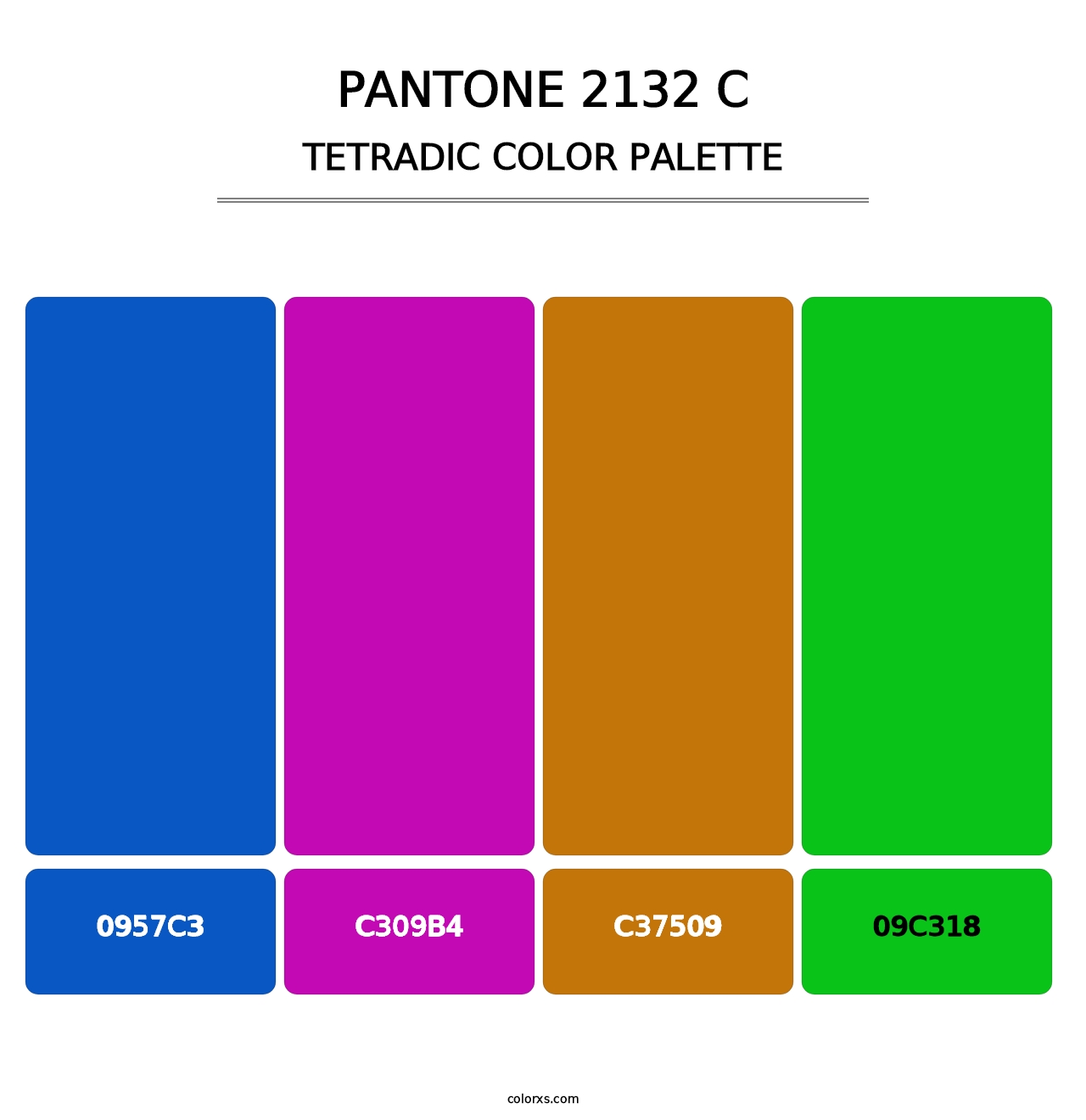 PANTONE 2132 C - Tetradic Color Palette
