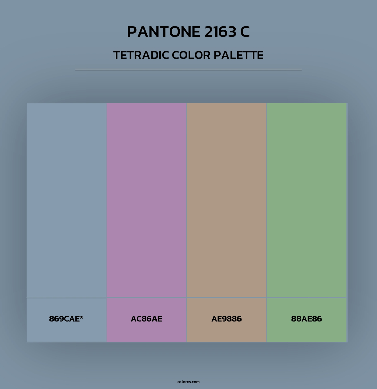 PANTONE 2163 C - Tetradic Color Palette