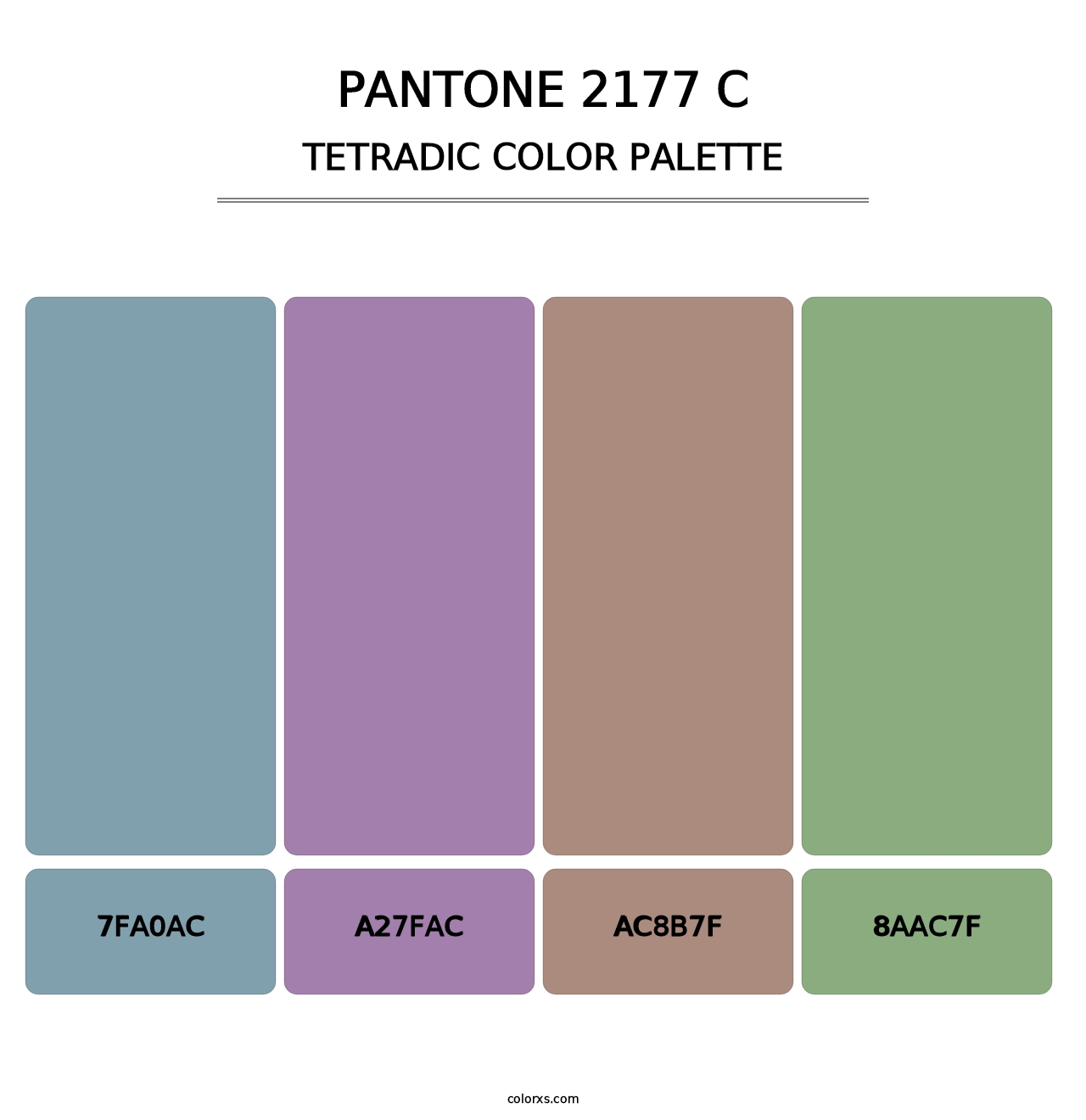 PANTONE 2177 C - Tetradic Color Palette