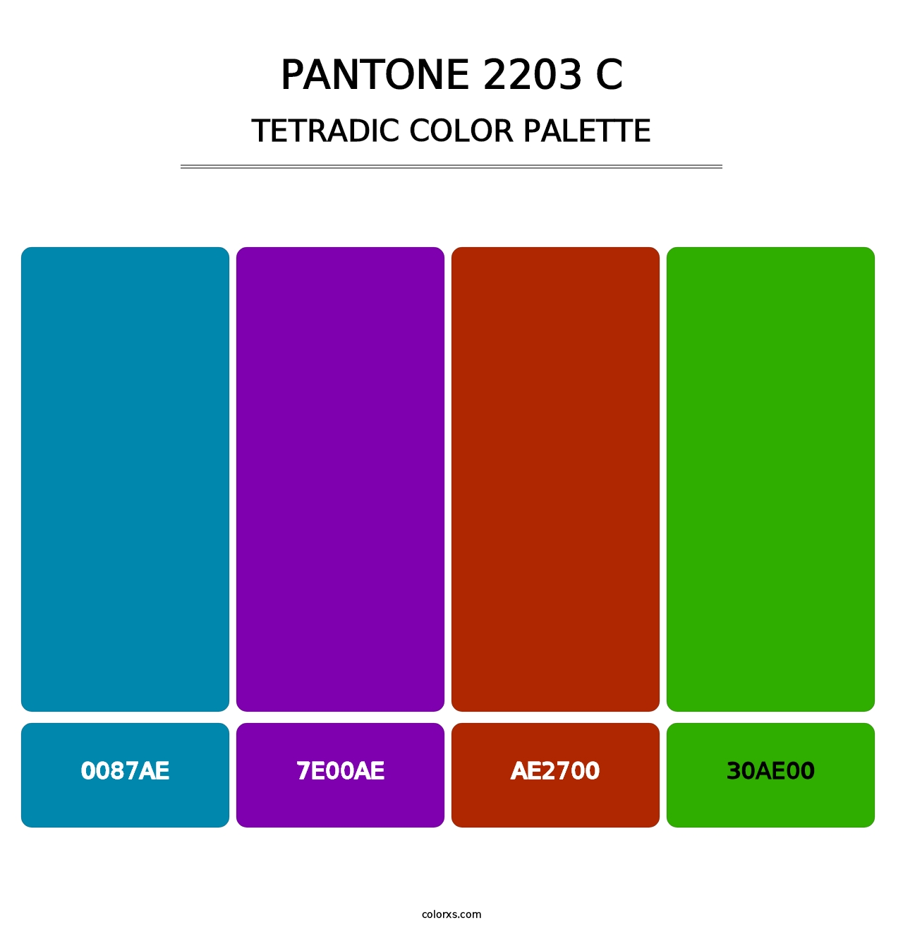 PANTONE 2203 C - Tetradic Color Palette