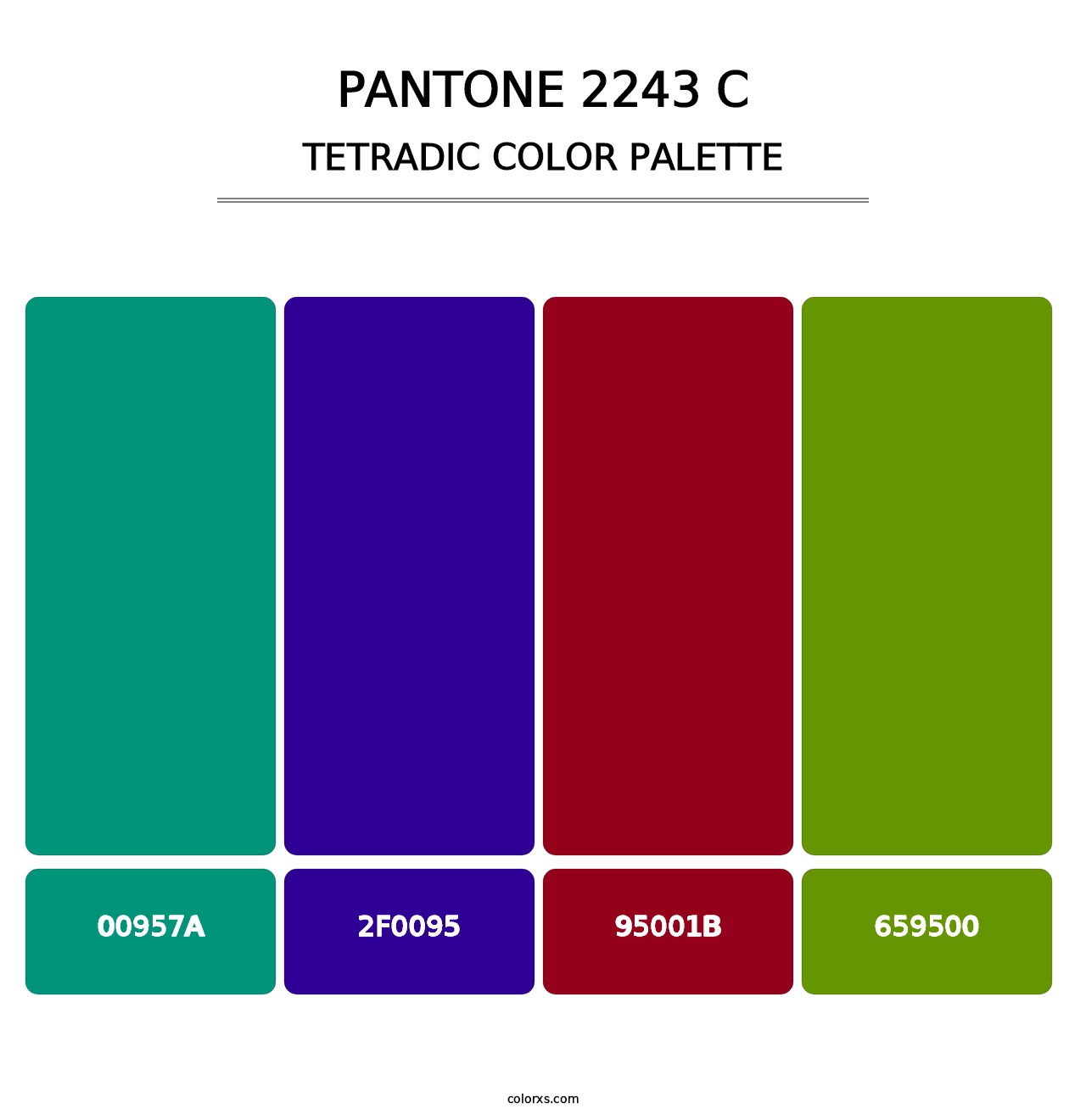 PANTONE 2243 C - Tetradic Color Palette