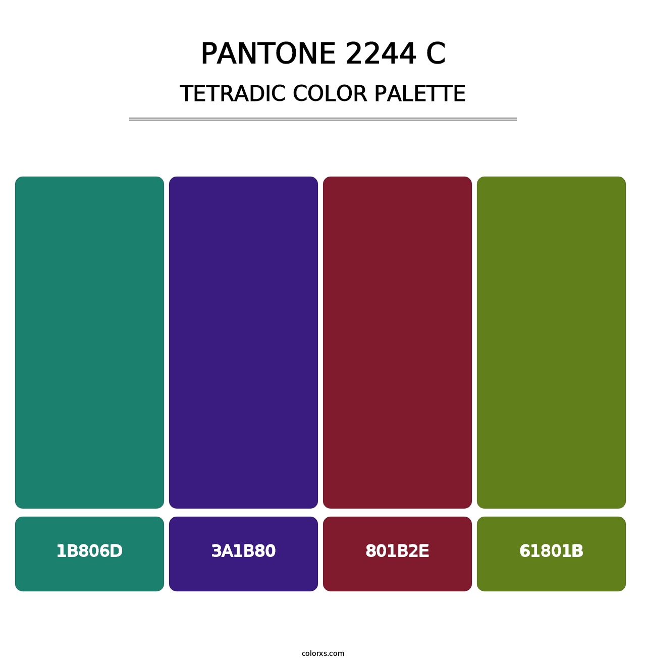 PANTONE 2244 C - Tetradic Color Palette