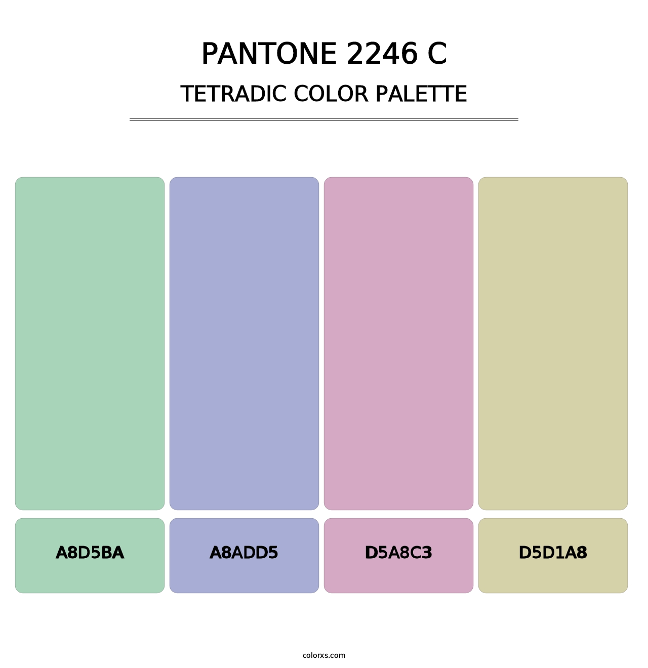 PANTONE 2246 C - Tetradic Color Palette