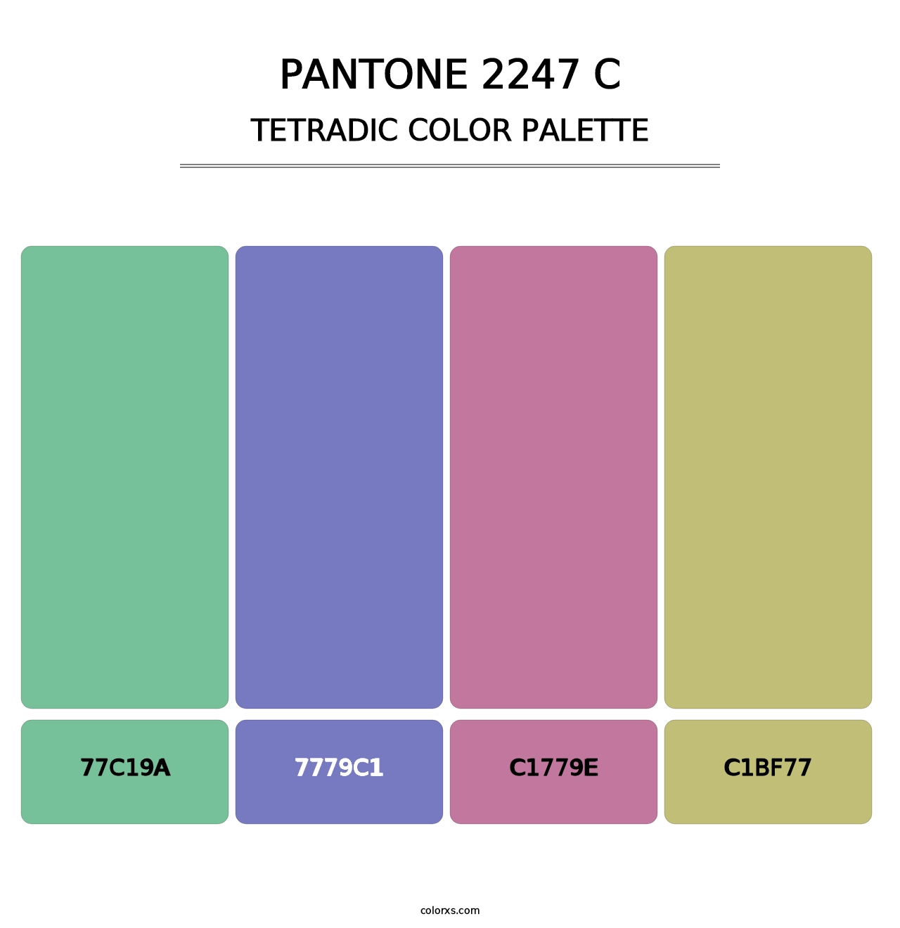 PANTONE 2247 C - Tetradic Color Palette